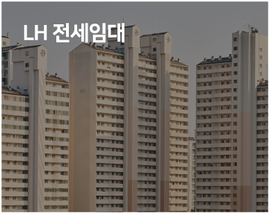 LH 전세임대